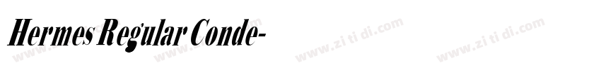 Hermes Regular Conde字体转换
